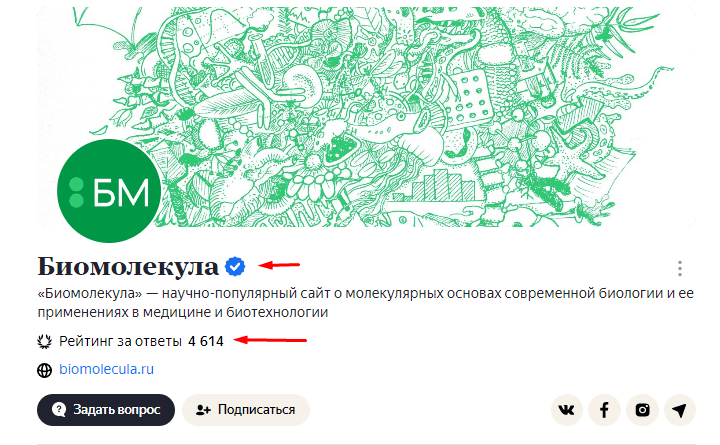 Пример подтверждённого профиля на Яндекс.Кью