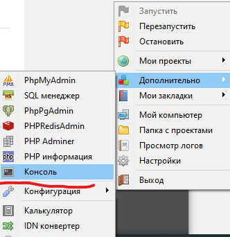 В контекстном меню программы выбираем 'Консоль'