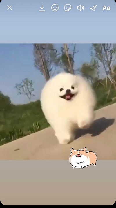 Выбираем гифку Выбираем гифку