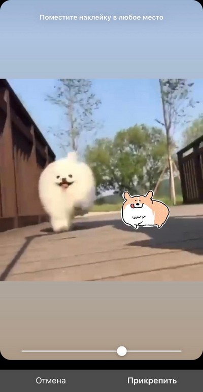 Регулируем, в какой момент она появится Регулируем, в какой момент она появится