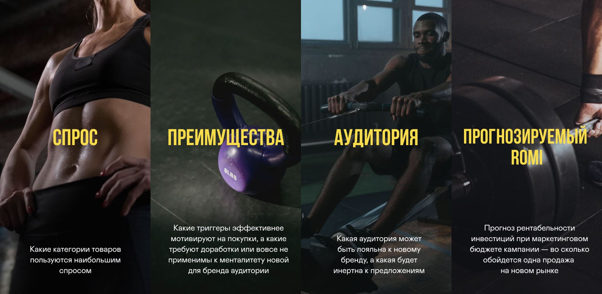 Что исследовать Что исследовать