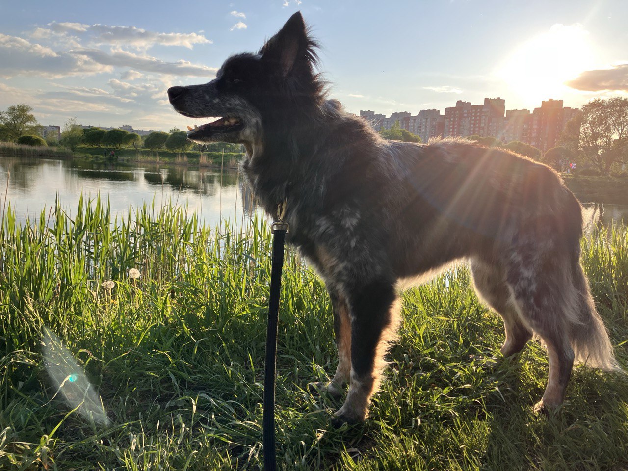 функция удаления фона