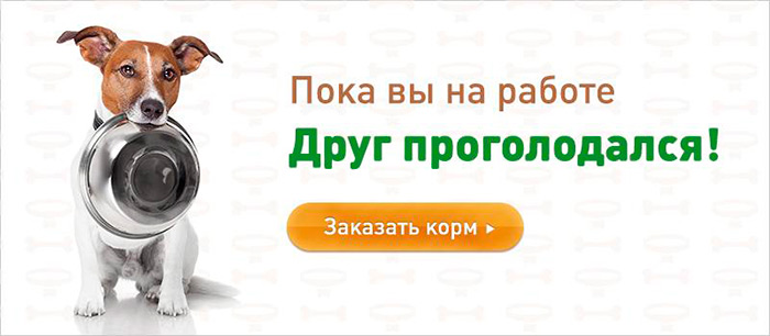 Баннеры с акциями для сайта: как их прорисовать правильно?